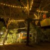 Casetta sospesa illuminata di notte nel bosco.