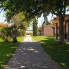 Sentiero pavimentato tra case e alberi, con erba verde intorno.