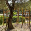 Area fitness all'aperto con attrezzature.