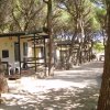 Casette tra alberi, disposte lungo un sentiero in un'area ombreggiata.