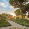 Sentiero tra case gialle e alberi con sole al tramonto.
